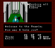 NES Screenshot 2
