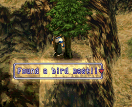 Stupid Chicken...reminds me of that one from Zelda 3